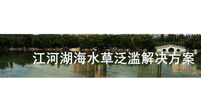 江河湖海水草泛滥解决方案