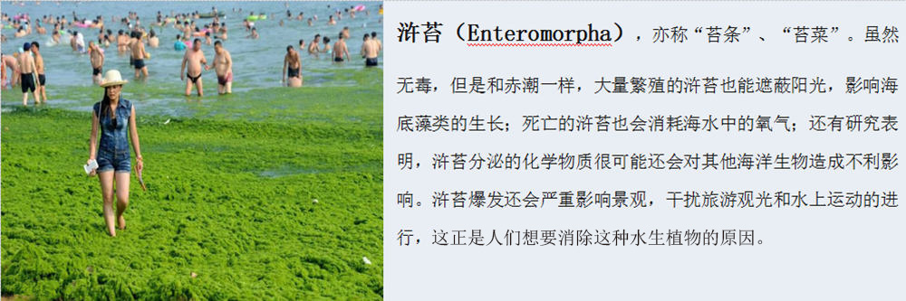 挖泥船解决江河湖海水草泛滥方案2
